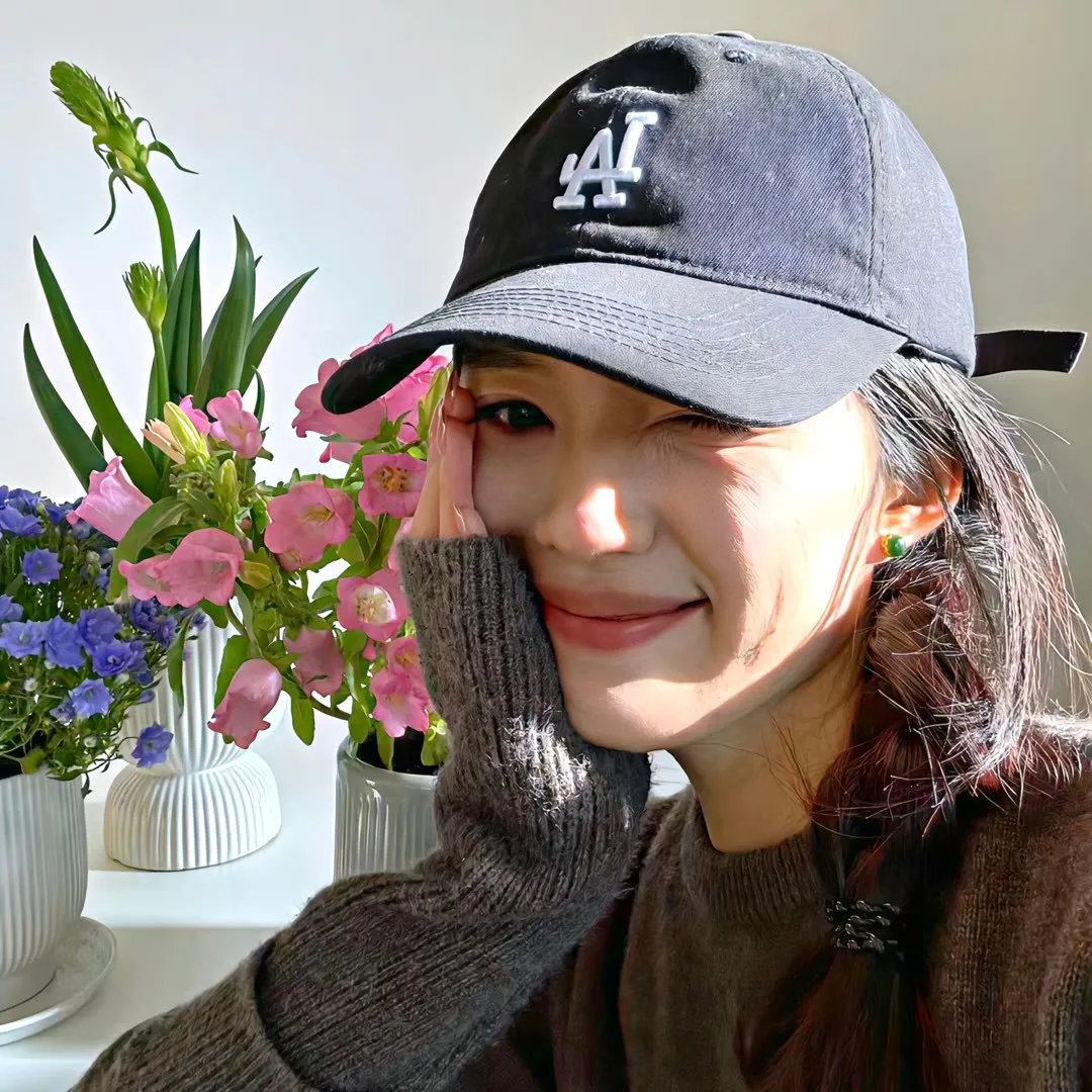 山菊花